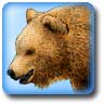 Grizzles's Avatar